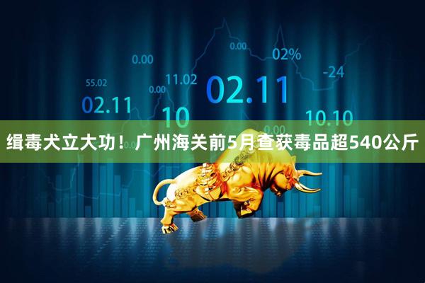 缉毒犬立大功！广州海关前5月查获毒品超540公斤