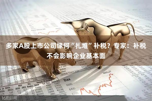 多家A股上市公司缘何“扎堆”补税？专家：补税不会影响企业基本面
